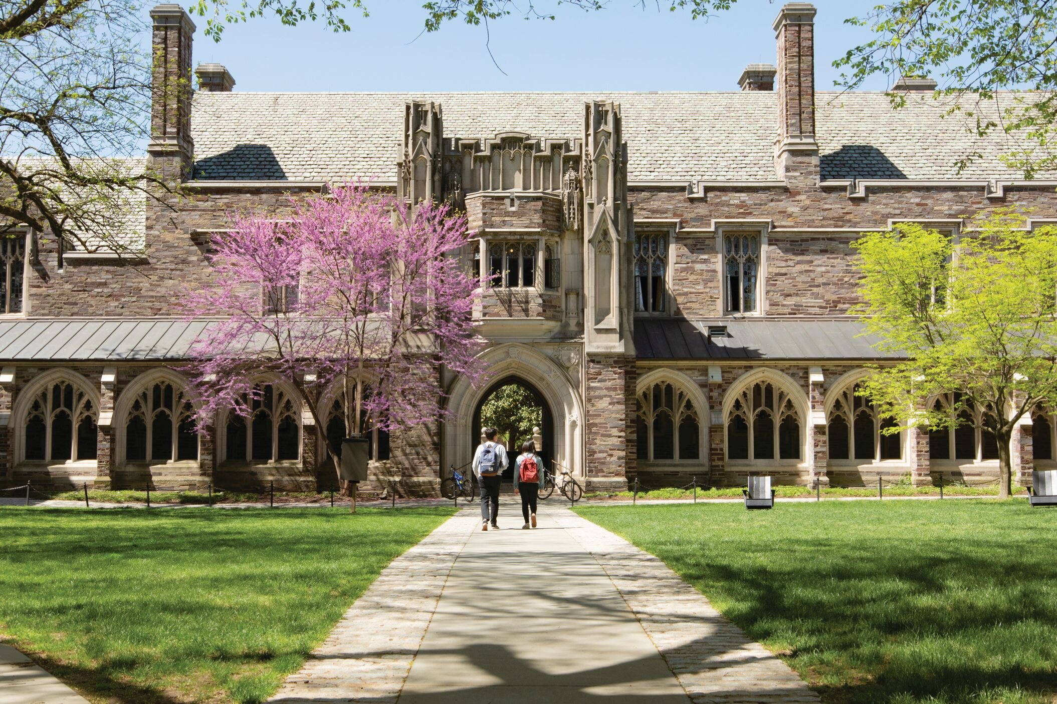 Princeton University International